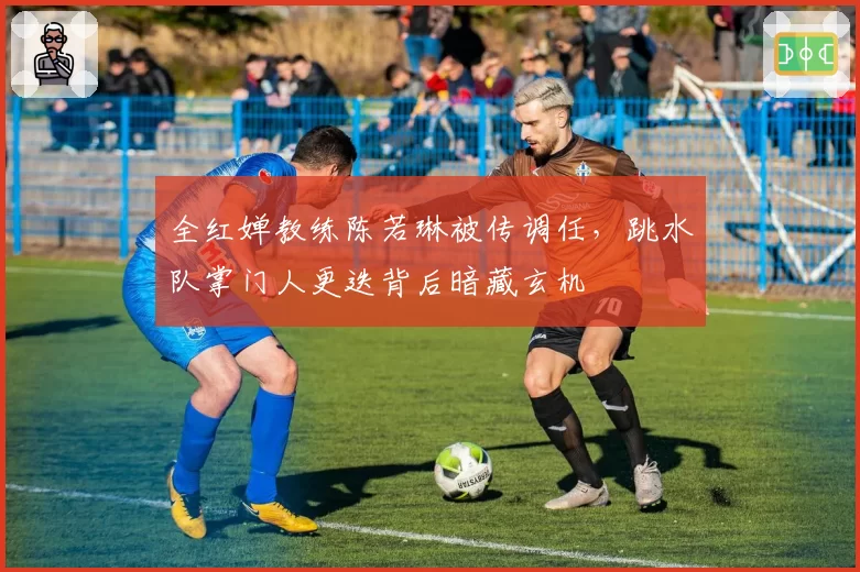 全红婵教练陈若琳被传调任，跳水队掌门人更迭背后暗藏玄机