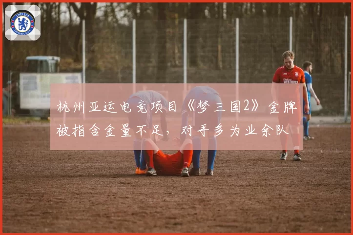 杭州亚运电竞项目《梦三国2》金牌被指含金量不足,对手多为业余队