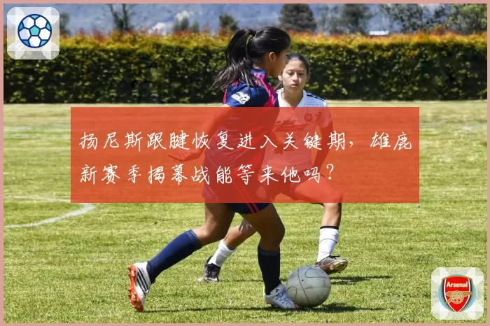 扬尼斯跟腱恢复进入关键期,雄鹿新赛季揭幕战能等来他吗?